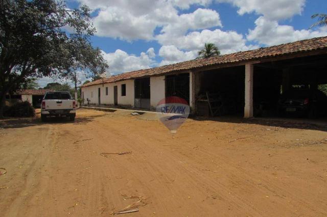 Excelente propriedade, pronta de tudo. Porteira Fechada. - Foto 13