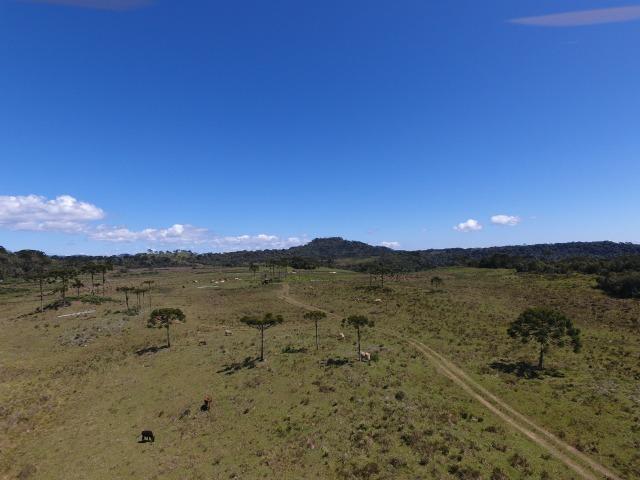 Sitio chácara em Urubici/ área rural - Foto 3
