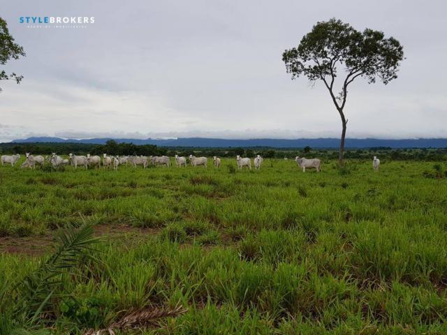Fazenda em Porto Esperidião - Foto 15