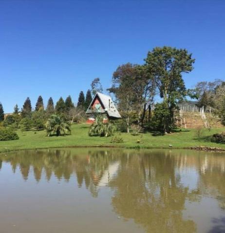 Vinícola em Gramado em produção - Foto 15