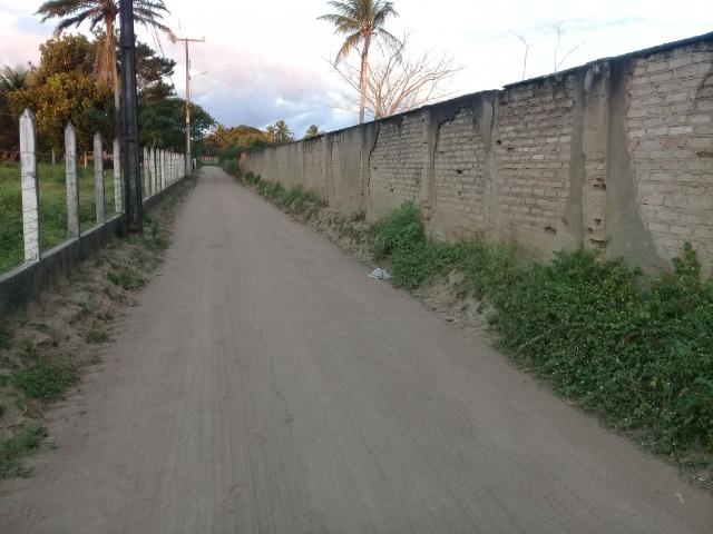 Excelente área de terra no povoado de boa hora, próximo ao parque viver tomba - Foto 4