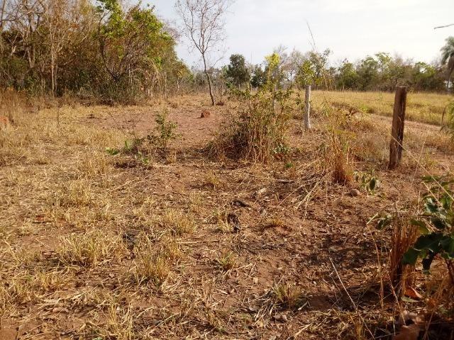 Fazenda para Pecuaria com 1.100 hectares na beira no Lago do Manso - Foto 8