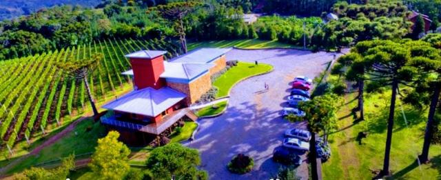 Vinícola em Gramado em produção - Foto 19