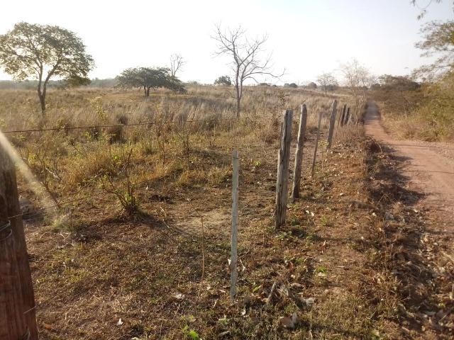 Fazenda Proximo da Estrada da Guia - Foto 8