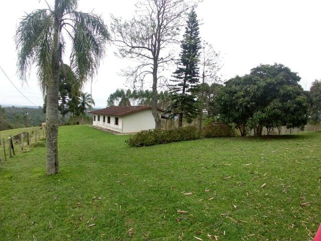 Fazenda em Campo Largo Bairro São Silvestre - Foto 16