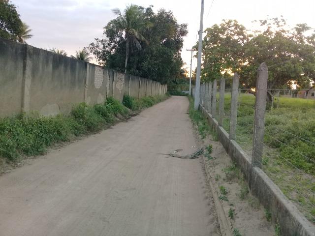 Excelente área de terra no povoado de boa hora, próximo ao parque viver tomba - Foto 7