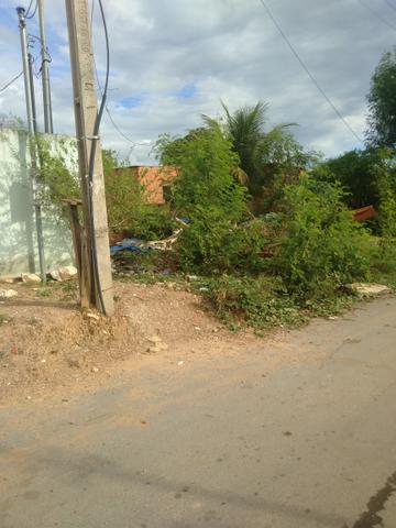Terreno bairro Dr Fábio 1 - Foto 2