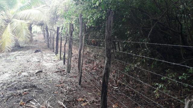 Fazenda em Conde, 45 tarefas - Foto 17