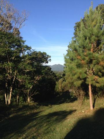 Chácara na Roça Velha - SJP/PR - Foto 3