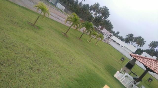 Lote/Terreno no Cond Ilha da da Lagoa em Massagueira - Foto 13