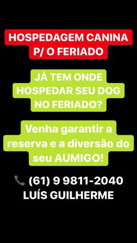 Matilha Ruwer - Canil e Hospedagem para Cães - Foto 6