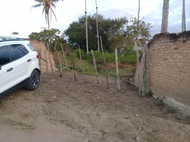 Excelente área de terra no povoado de boa hora, próximo ao parque viver tomba - Foto 2