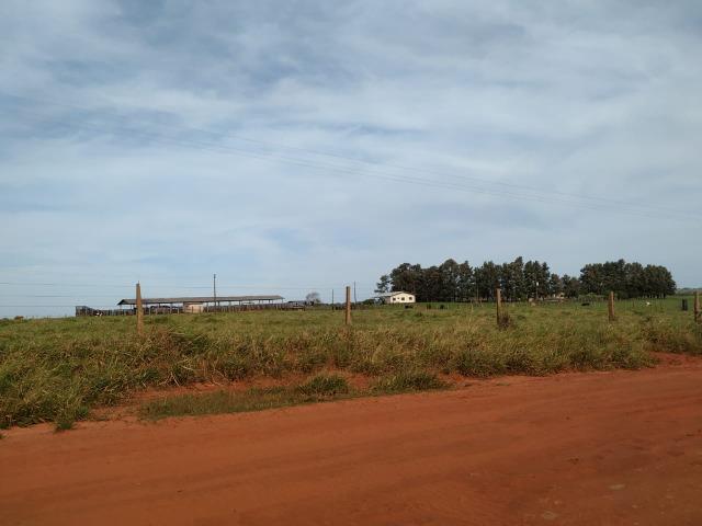 Fazenda Divisa com Paraguai 3.354 Alqueires Paulista!!!!!! - Foto 2