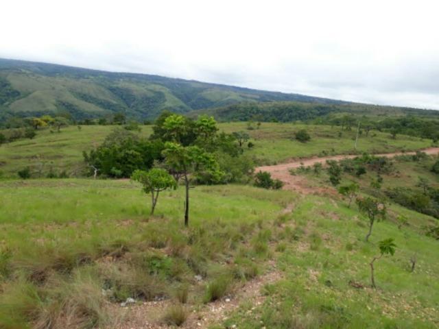 100 Hectáries 70 Km de Cuiabá - Foto 5