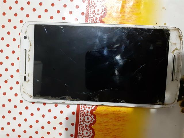 Celular