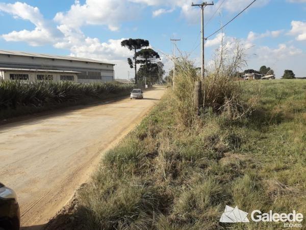 Área Industrial - São José dos Pinhais - Foto 2