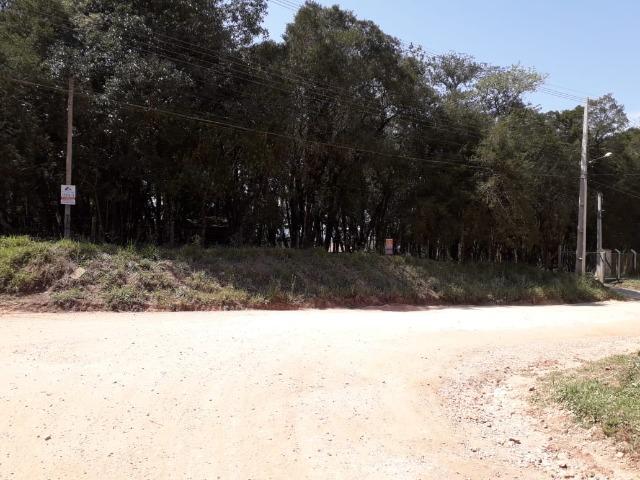 Chácara com 39.631m2 em Campina Grande do Sul - Aceito Imóvel Com Volta - Foto 16