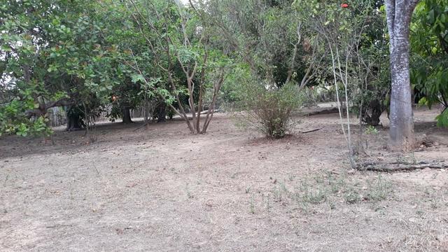 Chácara em Vitorino Freire - Foto 2