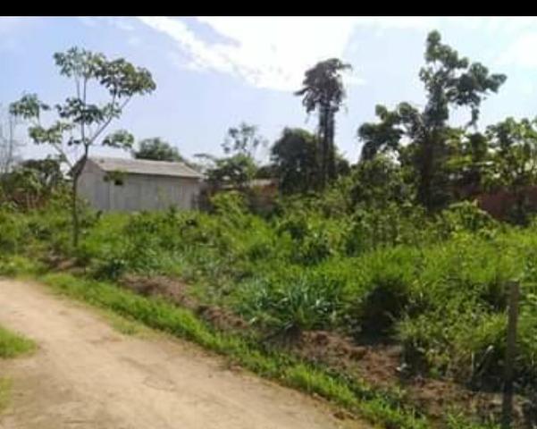 Vende_se este terreno - Foto 6