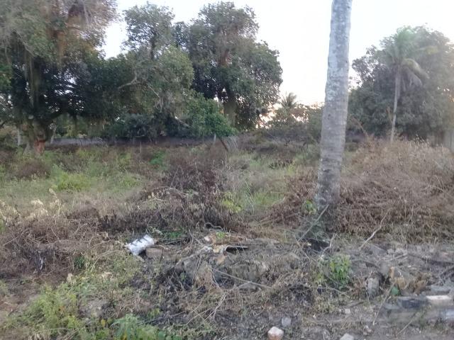 Excelente área de terra no povoado de boa hora, próximo ao parque viver tomba - Foto 12