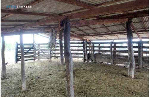 Fazenda em jangada - MT - Foto 2