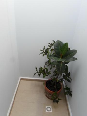 Casa 2 Dorm. - Condomínio Jardins do Prado - Cód.323 - Foto 3