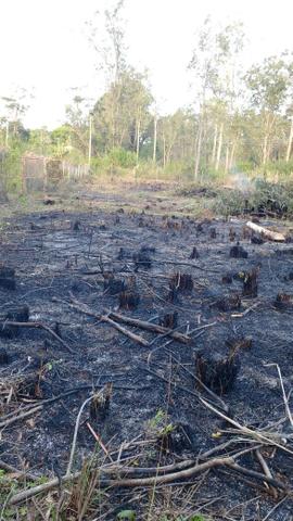 Terreno 15x75 Guaiba coutry clube - Foto 3