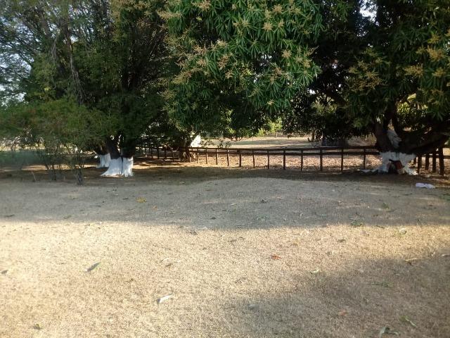 Fazenda Proximo da Estrada da Guia - Foto 7