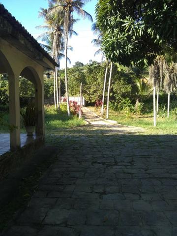 Vendo Chácara em Ribeirão PE - 10 hectares - Foto 2
