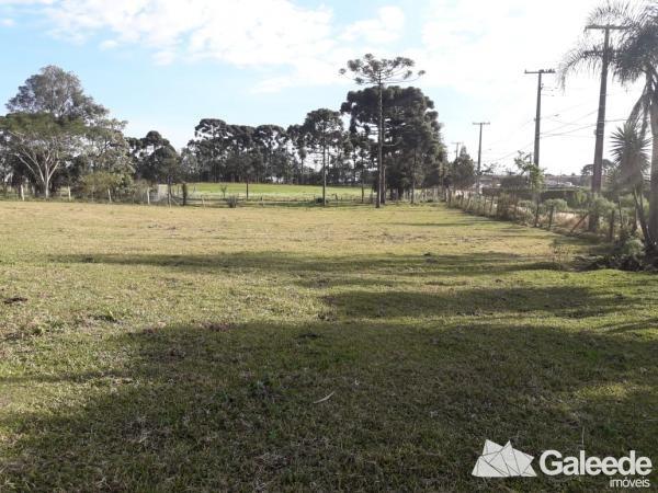 Área Industrial - São José dos Pinhais - Foto 7