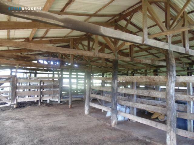 Fazenda à venda, 800000 m² por R$ 550.000,00 - Zona Rural - Nossa Senhora do Livramento/MT - Foto 13