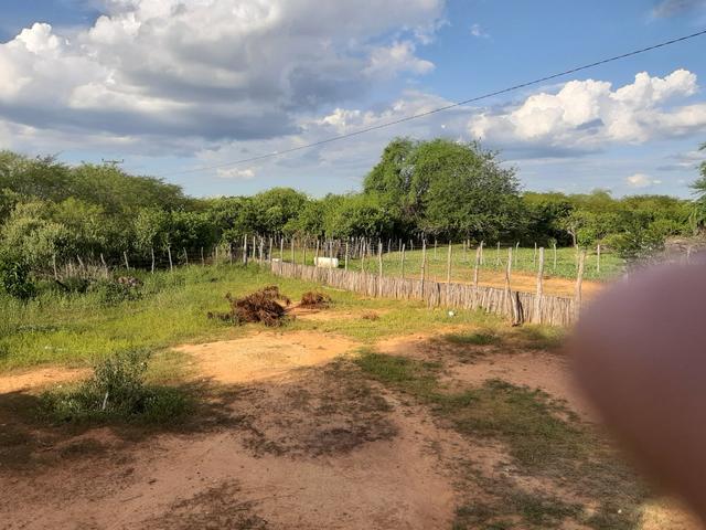Vendo fazenda em crateus ce ou troco - Foto 5