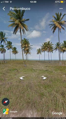 Terreno Beira Mar em Sirinhaém - Foto 2