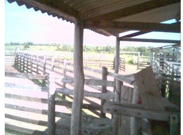 Fazenda Excelente Fazenda no Município de Poconé 16520412 hectares - Foto 8