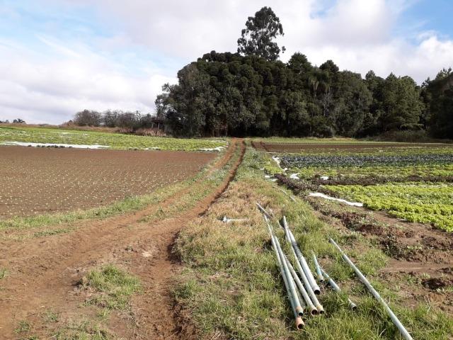Chácara com 39.631m2 em Campina Grande do Sul - Aceito Imóvel Com Volta - Foto 10