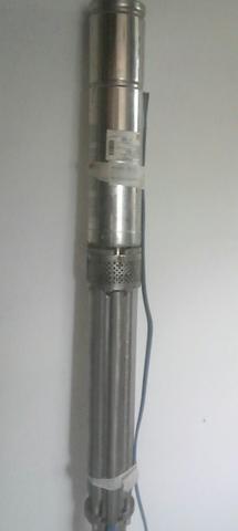 Motobomba submersa Leão