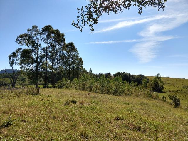 Sítio 16,6 Hectares - Barro Vermelho - Gravataí - RS - Foto 16