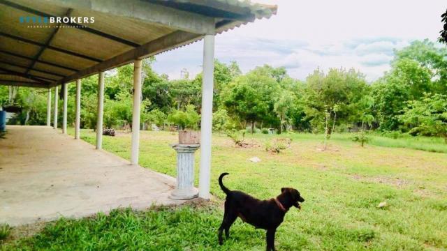 Chácara na Beira de Rio com 4 dormitórios à venda, 3600 m² por R$ 260.000 - Zona Rural - S - Foto 10
