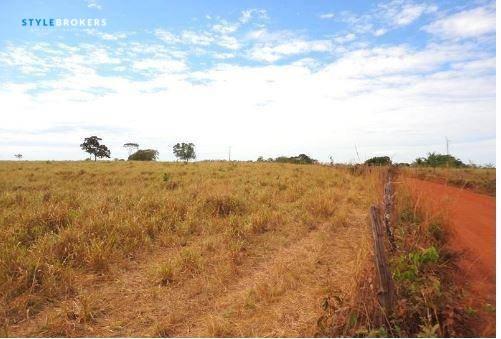 Fazenda em jangada - MT - Foto 13