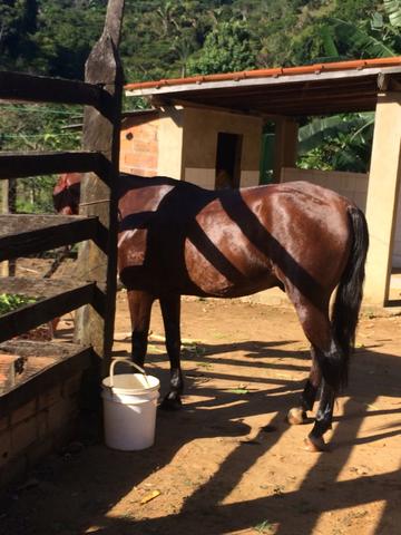 Fazenda no Vale do Jequiriçá - Foto 3