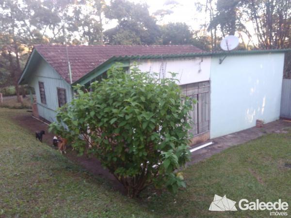 Chácara Barro Preto São José dos Pinhais - Foto 2