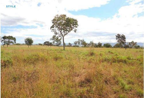 Fazenda em jangada - MT - Foto 8