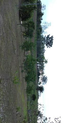 Chacara