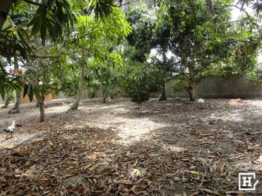 Terreno à venda - mosqueiro (zona de expansão) - Foto 12
