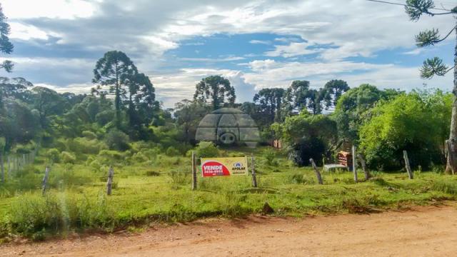 Terreno à venda em Boqueirão, Guarapuava cod:142198 - Foto 3