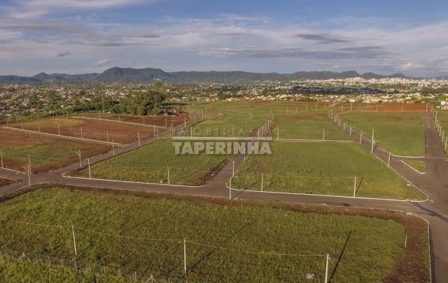 Terreno à venda em Pinheiro machado, Santa maria cod:10767 - Foto 5