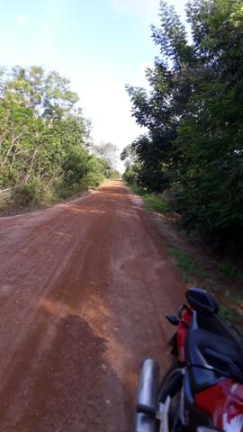 Fazenda com 150 hectares - Região de Soja (Balsas-MA) - Foto 3