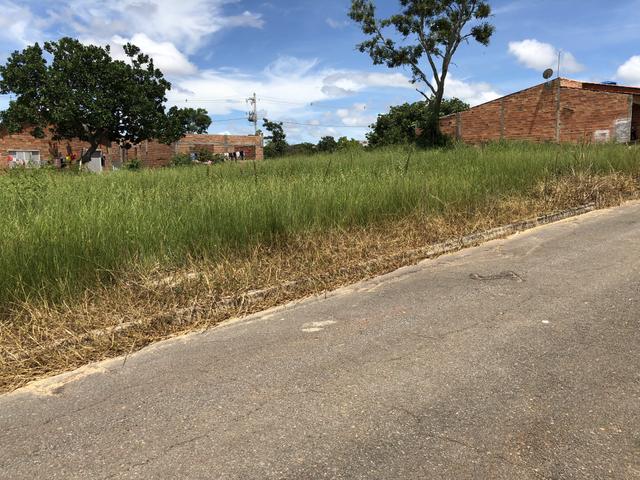 Lotes parcelados jardim prive - Foto 3