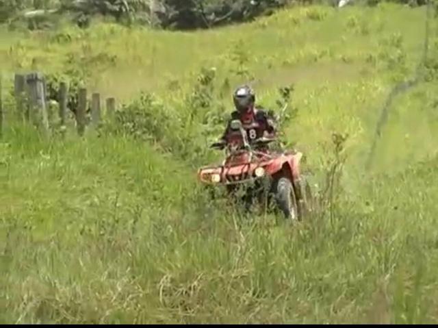 Área de terra com 20 hectares com 80 de pasto