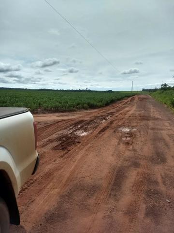 Alugo Fazenda no Ms Arrendamento 300 alq - Foto 4